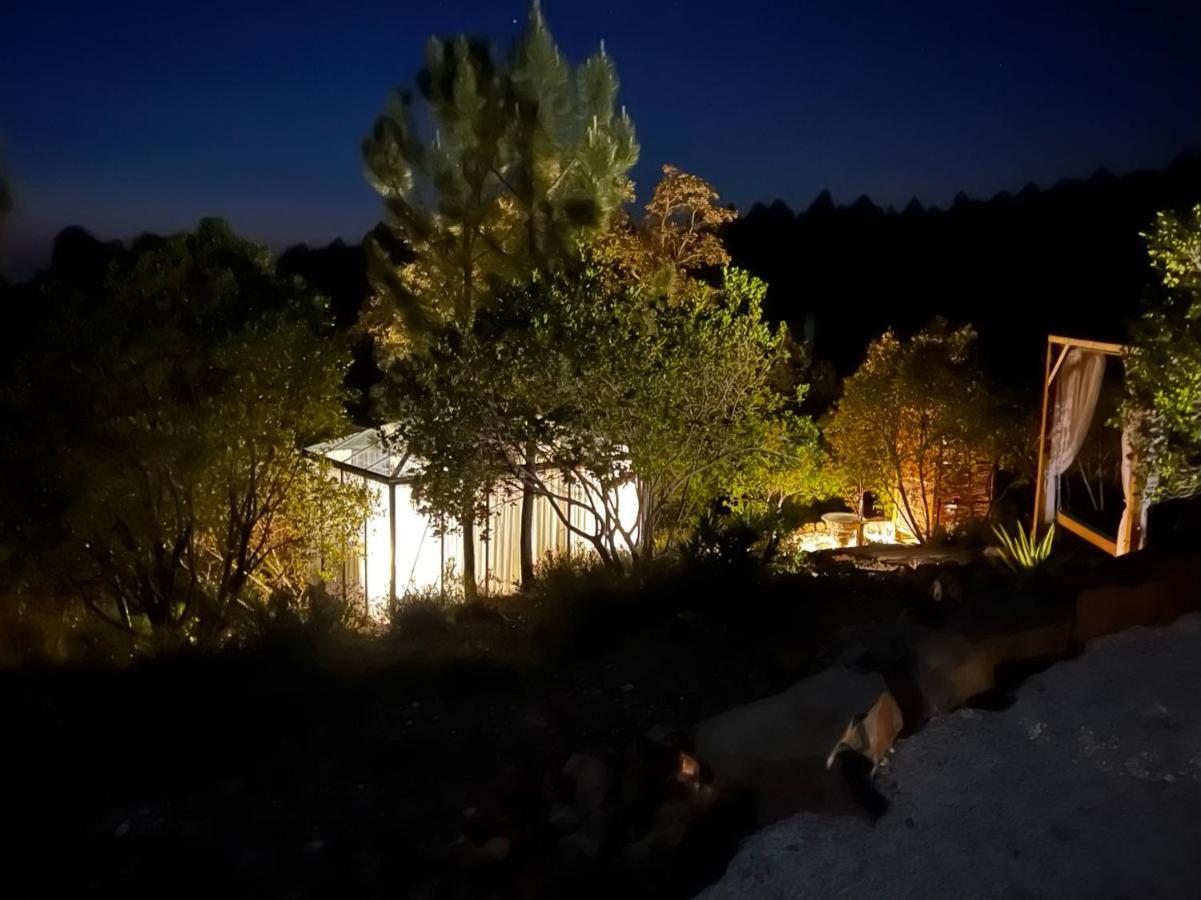 Romantic Skyview Glasshouses Rogil Dış mekan fotoğraf