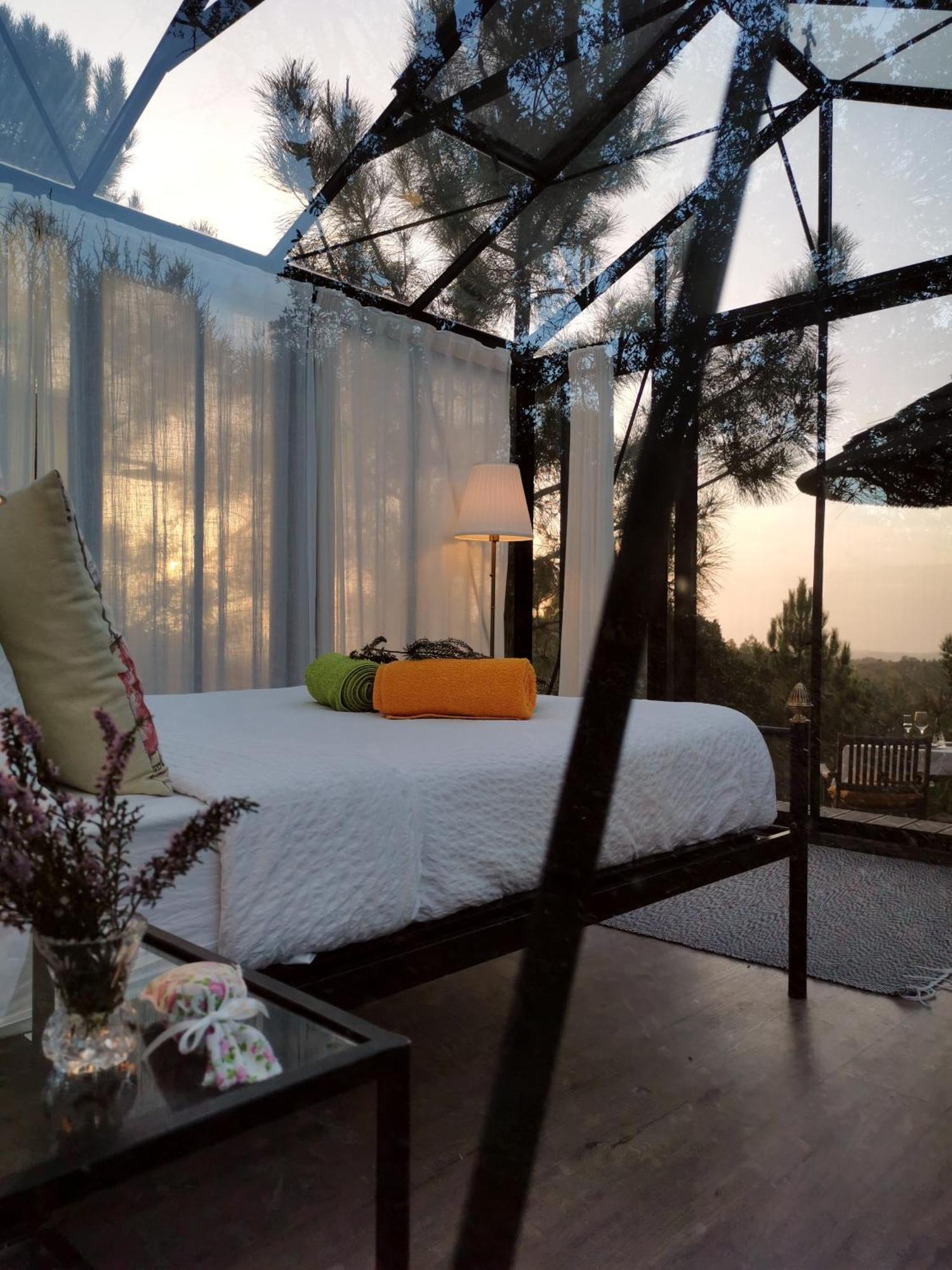 Romantic Skyview Glasshouses Rogil Dış mekan fotoğraf