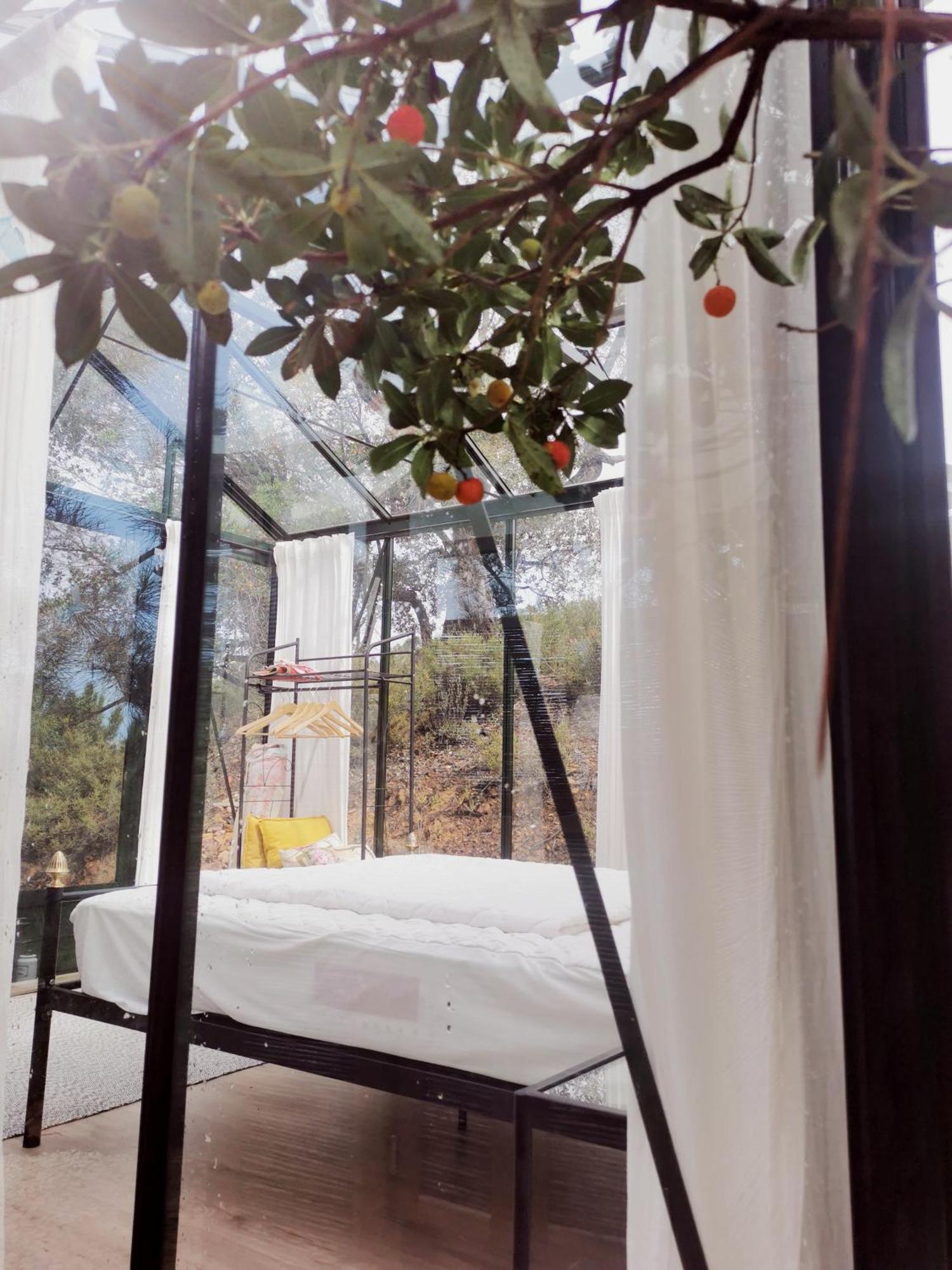 Romantic Skyview Glasshouses Rogil Dış mekan fotoğraf